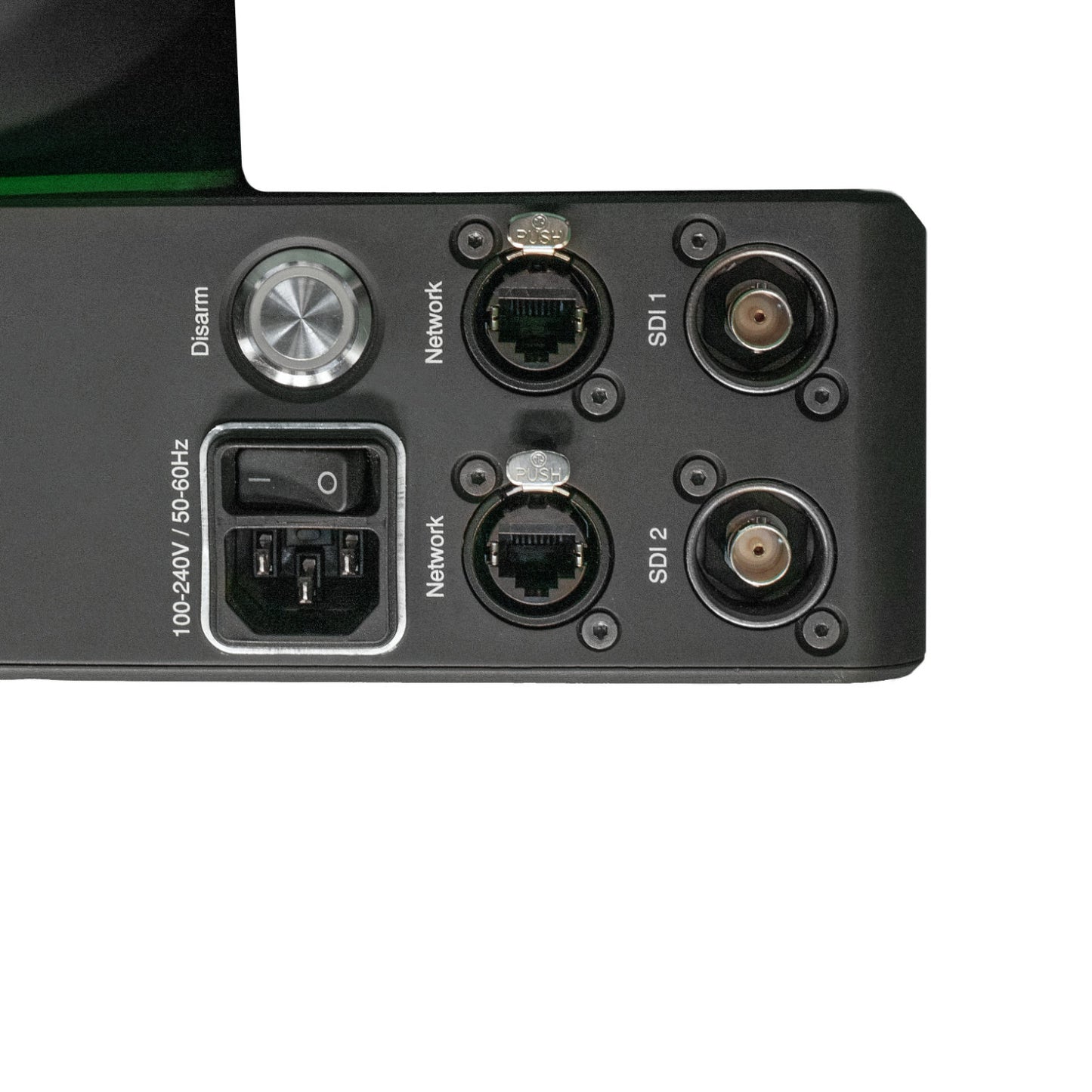Zanus Pauli PT head