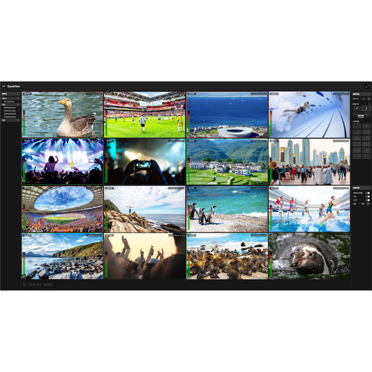 Science Image Dyna View Pro NDI.