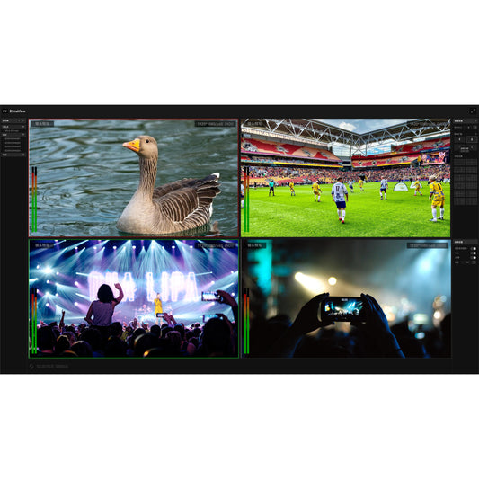 Science Image Dyna View NDI.