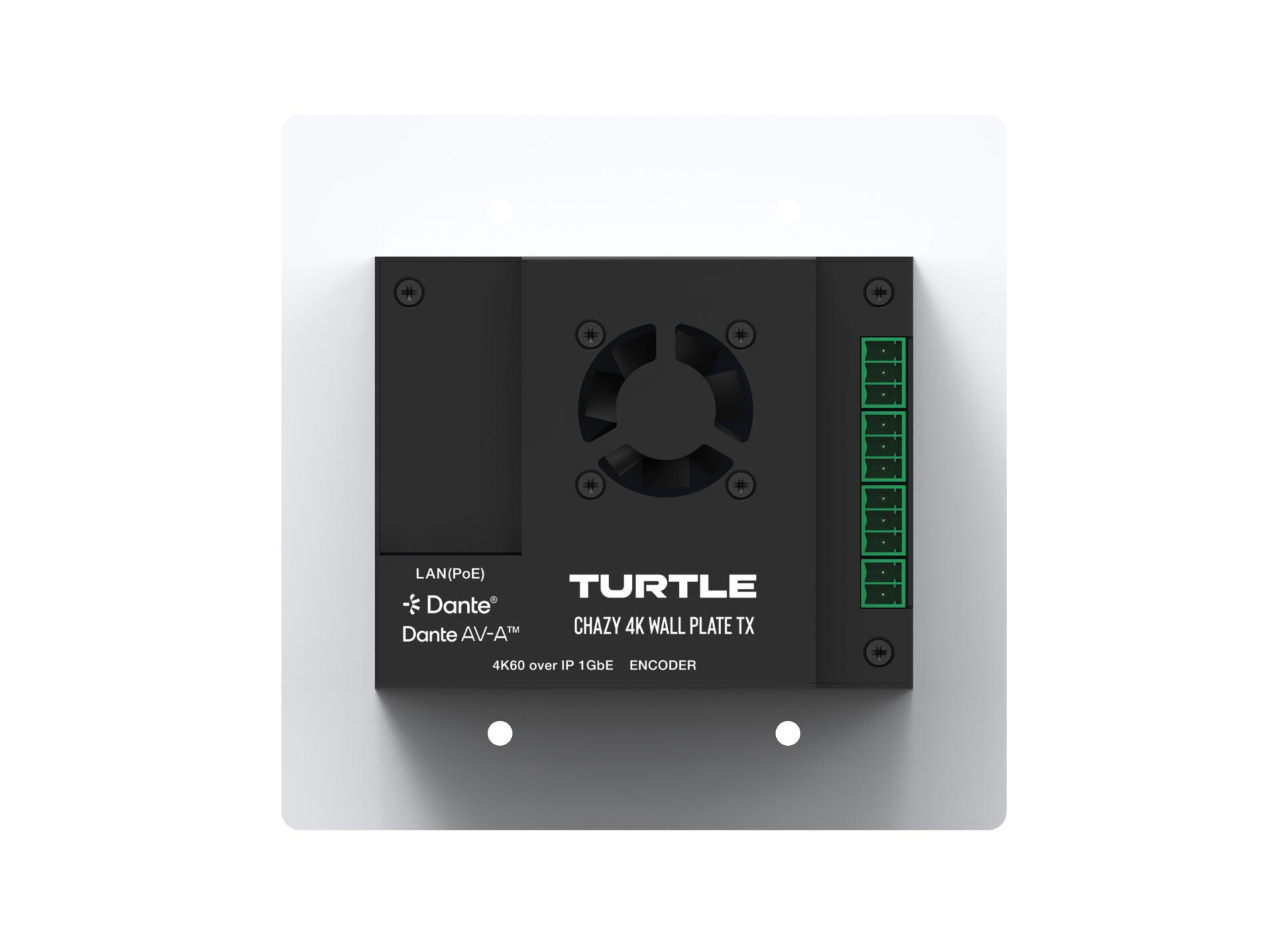 Turtle CHAZY 4K Wall Plate TX Dante AV-A JPEG 2000 Encoder.