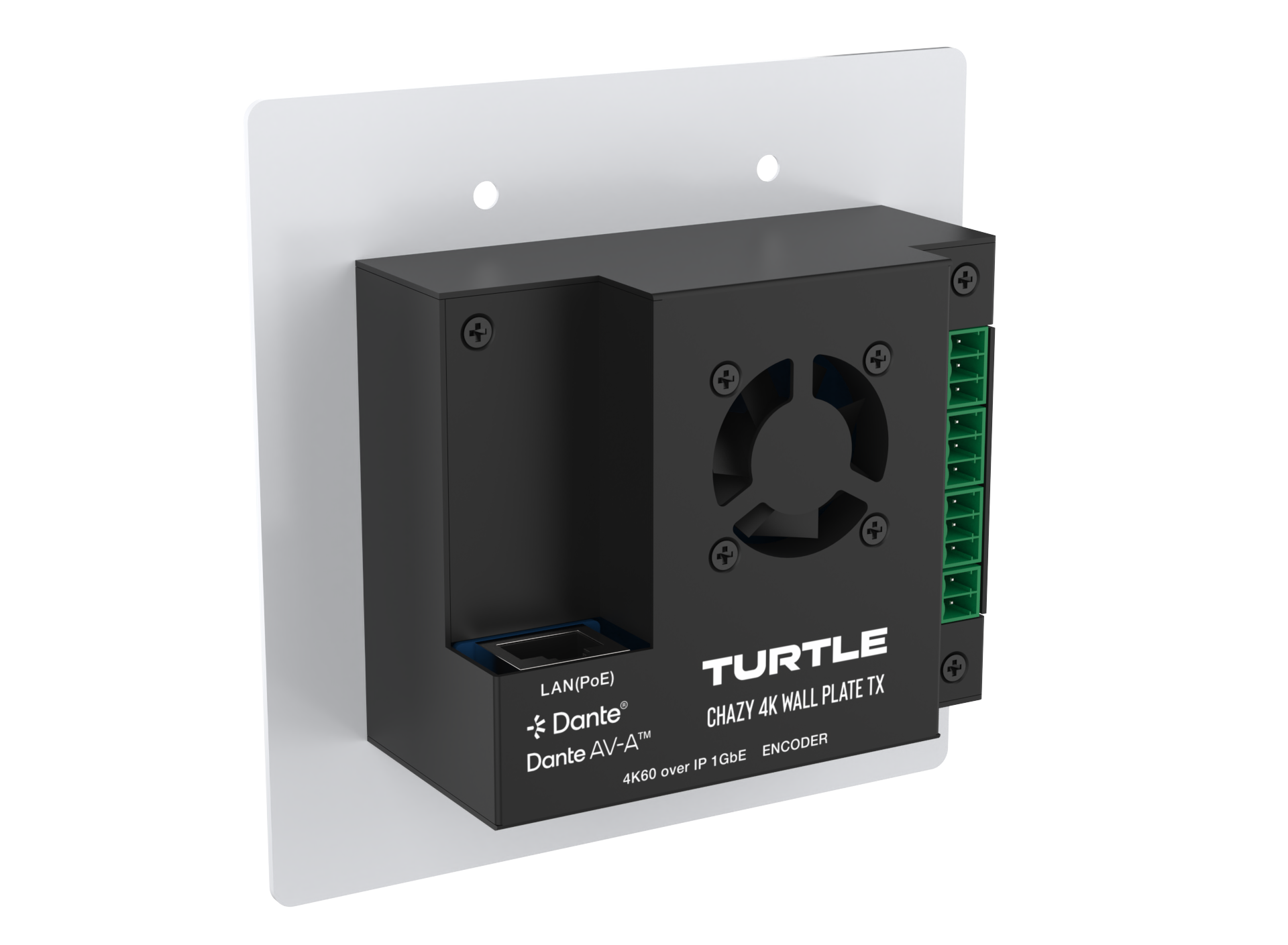 Turtle CHAZY 4K Wall Plate TX Dante AV-A JPEG 2000 Encoder.