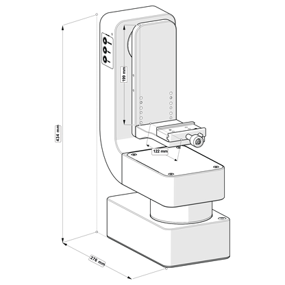 Zanus Pauli PT head