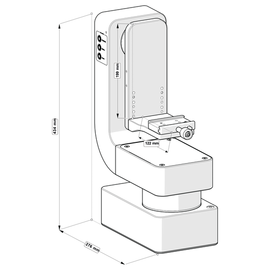Zanus Pauli PT head