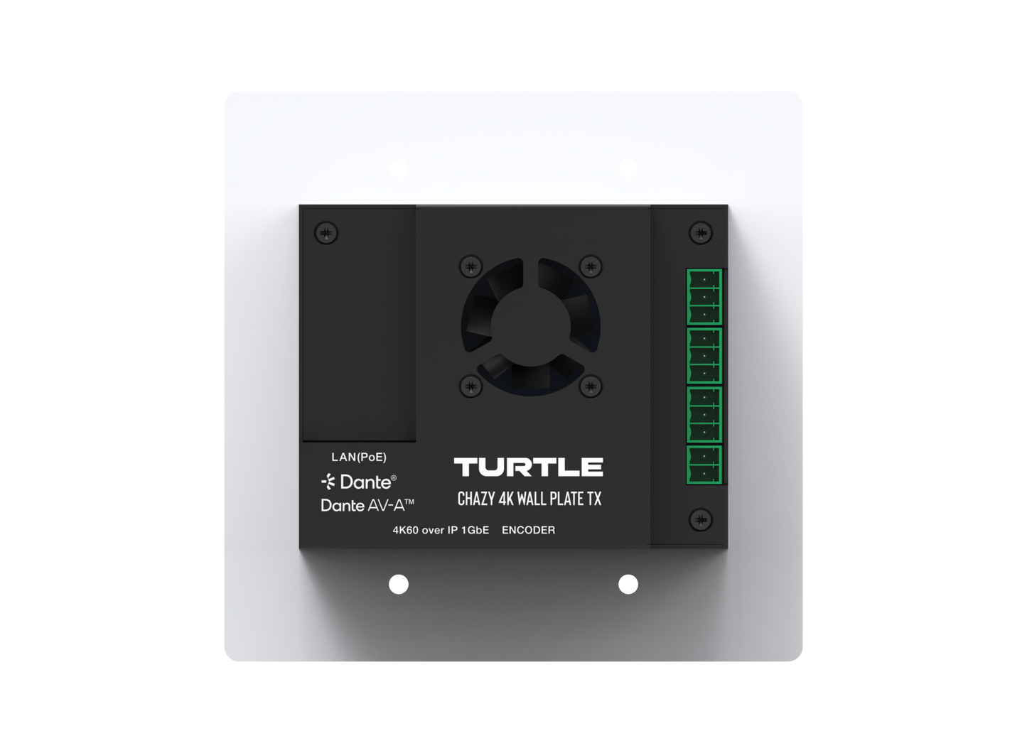 Turtle CHAZY 4K Wall Plate TX Dante AV-A JPEG 2000 Encoder