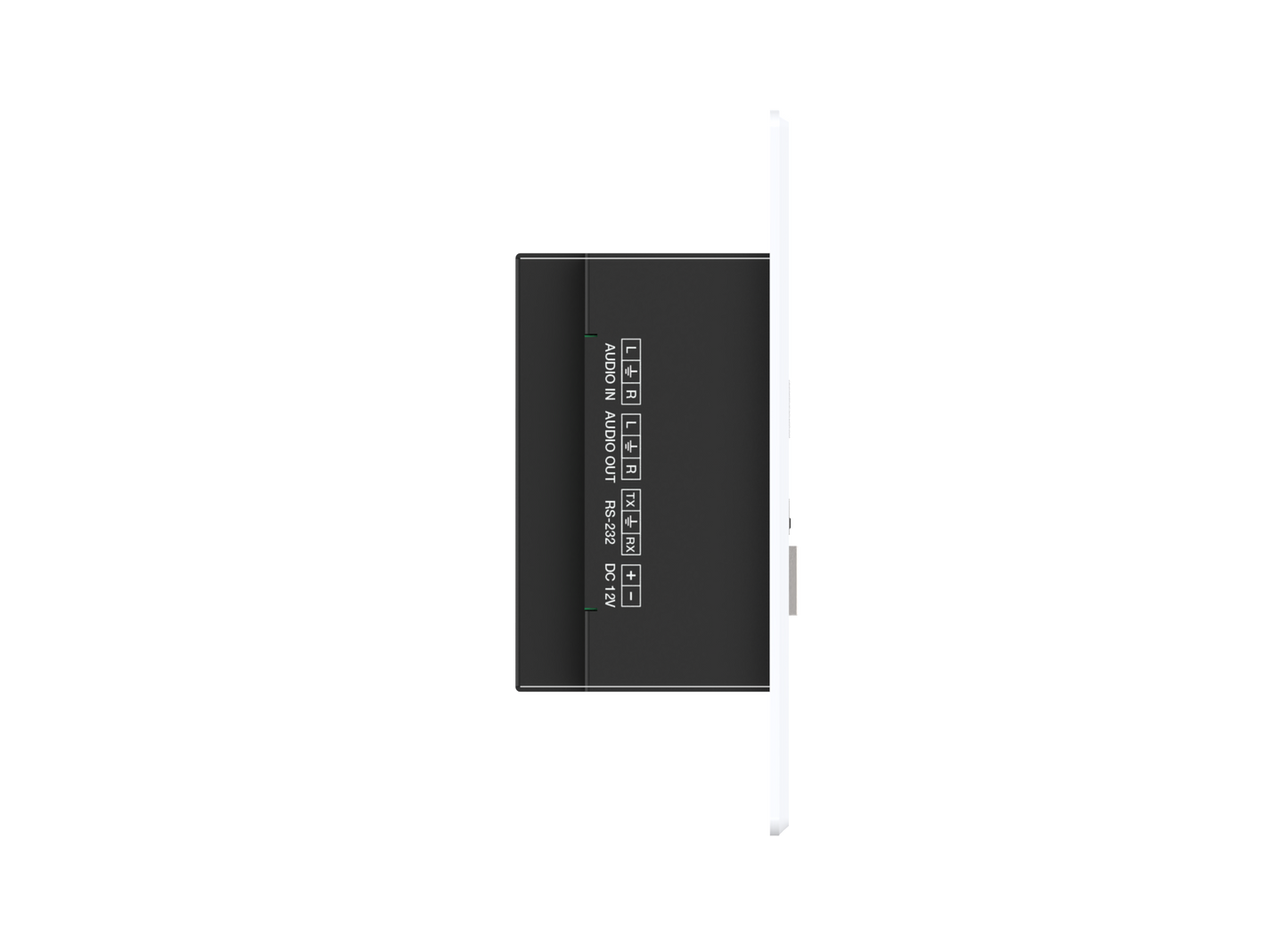 Turtle CHAZY 4K Wall Plate TX Dante AV-A JPEG 2000 Encoder