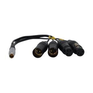 Bolin BLA-10 10-pin LEMO to XLR Breakout Cable