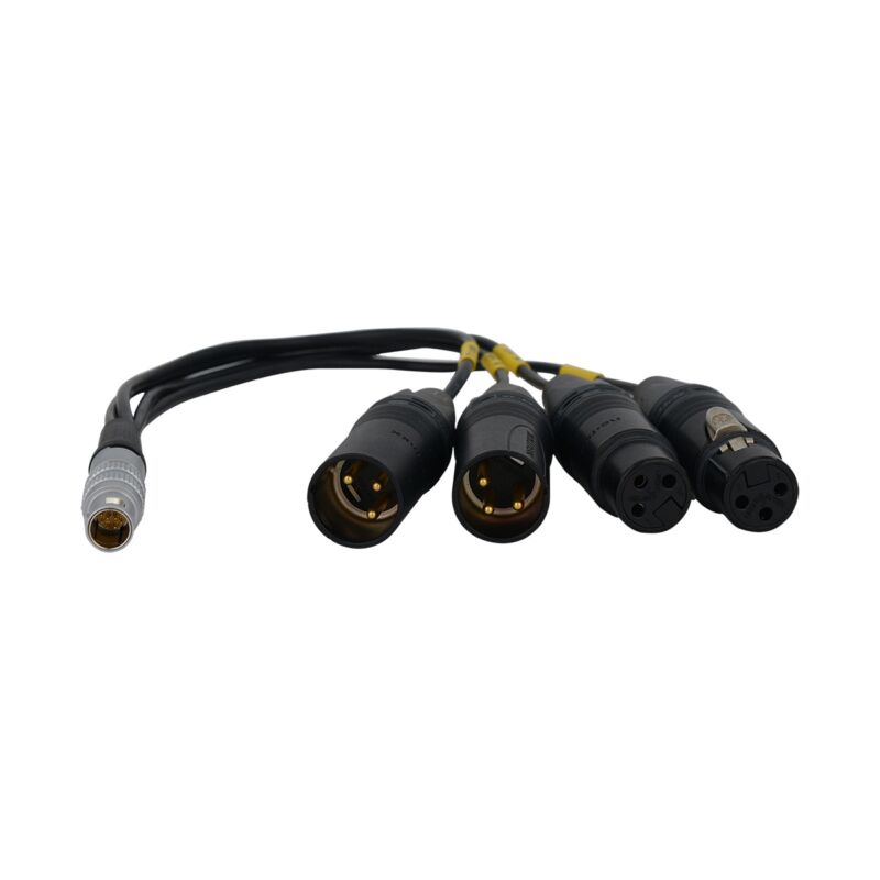 Bolin BLA-10 10-pin LEMO to XLR Breakout Cable